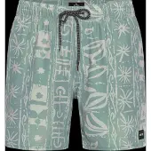 Rip Curl Sessions Volley Surffishortsit aloe Koko XXL