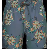 Rip Curl Sessions Volley - Blue - XL