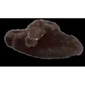 Steve madden Plushie - Brown - 42