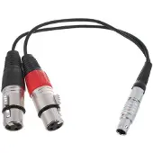 Atomos XLR (input only) Balanced XLR breakout cable