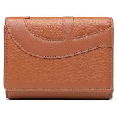 Etienne aigner Deborah Lompakko Nahka 12 cm Ruskea