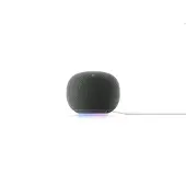 Google Home -älykaiutin, Hazel