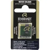 Taidepiste Rembrandt akvarelli 668 Chromium Oxide Green - 1/2 nappi