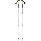 Black Diamond trail cork trekking poles