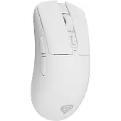 Genesis Zircon 880, Oikeakätinen, Optinen, RF Wireless + Bluetooth + USB Type-C, 12000 DPI, Valkoinen (NMG-2380)