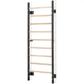 Gymstick Puolapuut Puu-Teräs