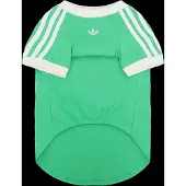 Adidas Originals Pet Cali Tee - Green - M