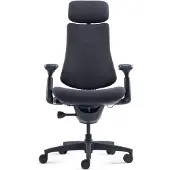 Libernovo Omni Dynaaminen Ergonominen Tuoli – Midnight Black