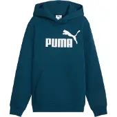 Puma Essential Nº1 Logo Huppari