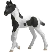 Schleich Collectible Foal Rocky