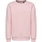 Hummel Loose Crewneck Bee Collegepaita