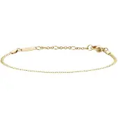 Daniel Wellington DW Staple Flat 155-185 mm Gold
