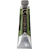Taidepiste Rembrandt öljy 40ml 623 Sap Green