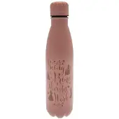 Ginza.se Disney Princess Metal 550ml Pullo