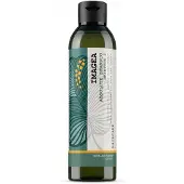 Elgon Green Imagea Absolute Shampoo kirkastava ja vahvistava shampoo värjätyille hiuksille 250 ml