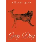 Grey Dog