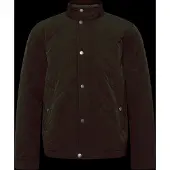 Gant for man. 7006638 Brown quilted jacket (XXL), Casual, Polyester