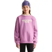 The North Face Chalbi Graphic Collegepaita