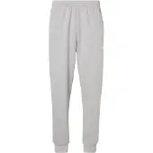 The North Face Housut 'EVOLUTION SIMPLE DOME' meleerattu harmaa