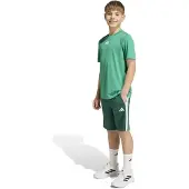 Adidas Train Essentials 3 Stripes Tee Kids Aseta