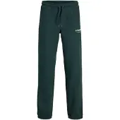 Jack & jones Junior Housut 'JPSTKane' kuusi