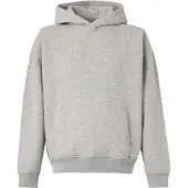 Hollister Collegepaita meleerattu harmaa