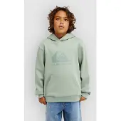 Quiksilver Comp Logo Kids Huppari vihreä, T10