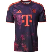 Adidas Trikoo 'FCB 3' antrasiitti / tummanvioletti / oranssinpunainen