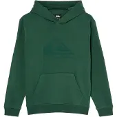 Quiksilver Comp Logo Kids Huppari forest Koko T10