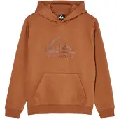 Quiksilver Comp Logo Kids Huppari ruskea, T08