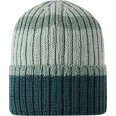Reima Beanie, Vilpas - Green - 48