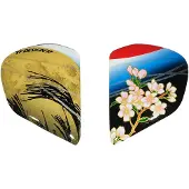 Arai Vas-v Tsubasa Kypärän Sivulevyt