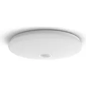 Philips by Signify Functional 8719514431867 ceiling lighting