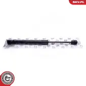 ESEN SKV Kaasujousi, tavaratila 52SKV629