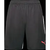 Puma Individualliga Training Shortsit