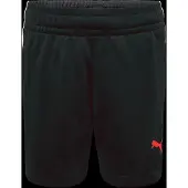 Puma Individualliga Training Shortsit