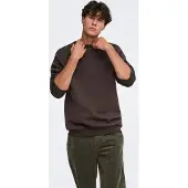 Only & Sons Onsceres Life Crew Neck - Brown - S