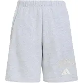Adidas Seasonals Collegiate Typography Shortsit