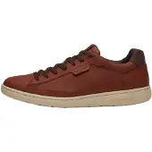 Timberland for man. TB0A5P7QEM61 Portofino Pier brown leather trainers (40), Flat, Laces, Casual