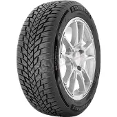Starmaxx POLARMAXX 205/55R16 91H 3PMSF