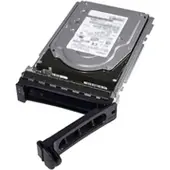 Dell Nearline - Kiintolevy - 4 TB - sisäinen - SAS 6Gb/s - Nearline - 7200 rpm - PowerEdge R220, R320, R415, R420, R515, R520, R720, T320, T420, T6...