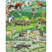 Petit Monkey Ev?srasia Sea Animals 3-pack