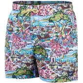 Speedo Printed Leisure 14´´ Uimashortsit