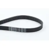 CONTITECH Moniurahihna 6PK1900