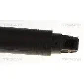 TRISCAN Kaasujousi, tavaratila 8710 43318