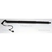 TRISCAN Kaasujousi, tavaratila 8710 29338
