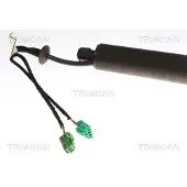 TRISCAN Kaasujousi, tavaratila 8710 28304