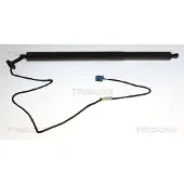 TRISCAN Kaasujousi, tavaratila 8710 23321
