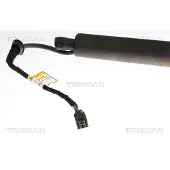 TRISCAN Kaasujousi, tavaratila 8710 43317
