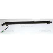 TRISCAN Kaasujousi, tavaratila 8710 28312